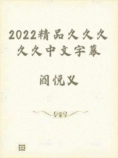 2022精品久久久久久中文字幕