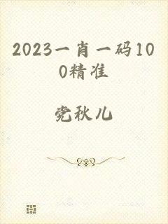2023一肖一码100精准