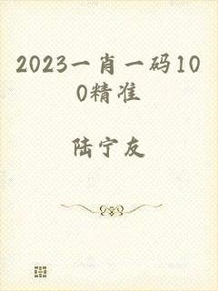 2023一肖一码100精准