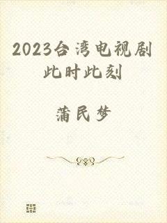 2023台湾电视剧此时此刻