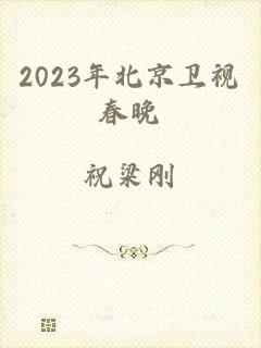 2023年北京卫视春晚