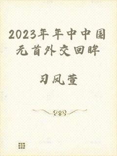 2023年年中中国元首外交回眸
