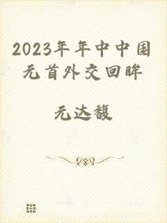 2023年年中中国元首外交回眸