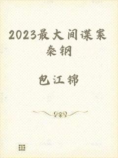 2023最大间谍案秦钢