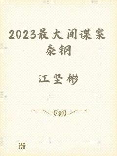 2023最大间谍案秦钢