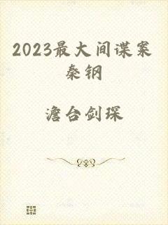 2023最大间谍案秦钢