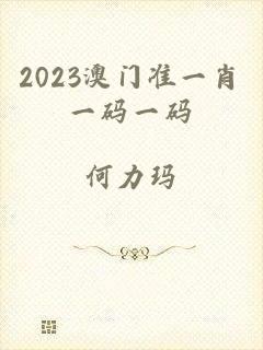 2023澳门准一肖一码一码