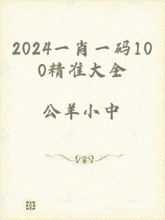 2024一肖一码100精准大全