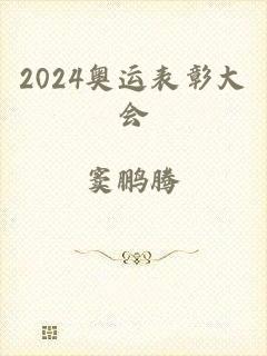 2024奥运表彰大会