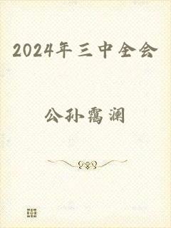 2024年三中全会