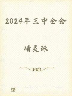 2024年三中全会