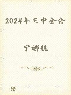 2024年三中全会