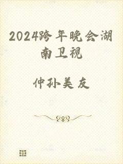 2024跨年晚会湖南卫视