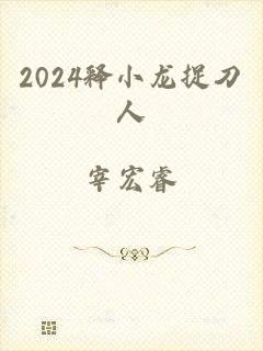 2024释小龙捉刀人