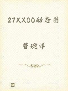 27XXOO动态图