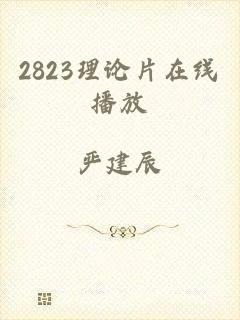 2823理论片在线播放