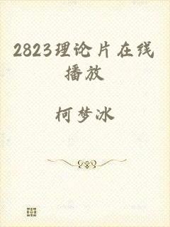2823理论片在线播放