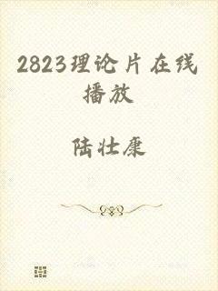 2823理论片在线播放