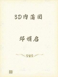 3D内蒲团