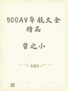 500AV导航大全精品