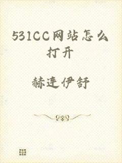 531CC网站怎么打开
