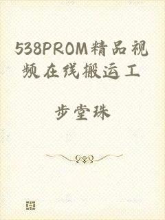 538PROM精品视频在线搬运工