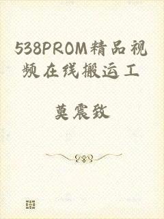 538PROM精品视频在线搬运工