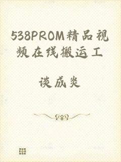 538PROM精品视频在线搬运工