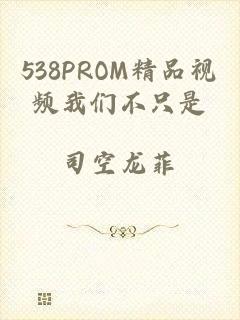 538PROM精品视频我们不只是