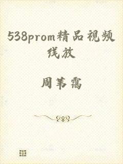 538prom精品视频线放