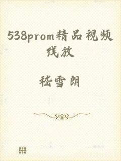 538prom精品视频线放