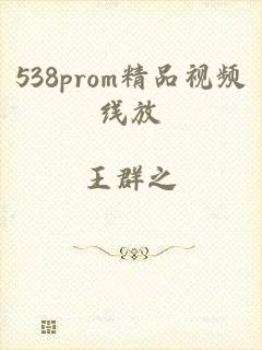 538prom精品视频线放