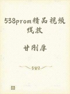 538prom精品视频线放