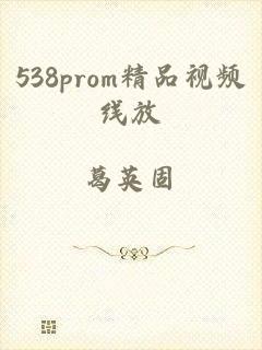 538prom精品视频线放