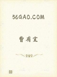 56GAO.COM