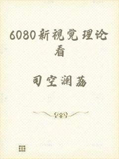 6080新视觉理论看