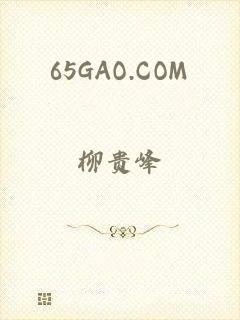 65GAO.COM