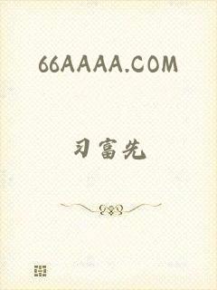 66AAAA.COM