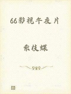 66影视午夜片