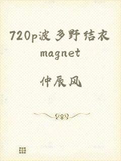 720p波多野结衣magnet