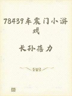 78439车震门小游戏