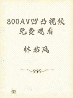800AV凹凸视频免费观看
