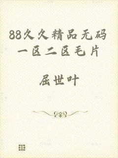 88久久精品无码一区二区毛片
