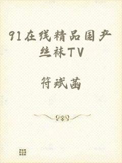 91在线精品国产丝袜TV