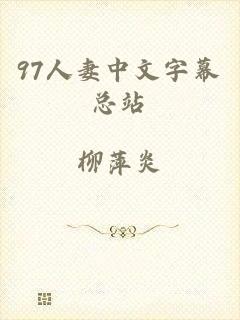97人妻中文字幕总站
