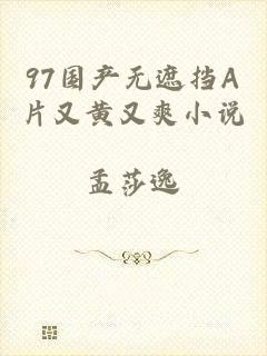 97国产无遮挡A片又黄又爽小说