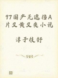 97国产无遮挡A片又黄又爽小说