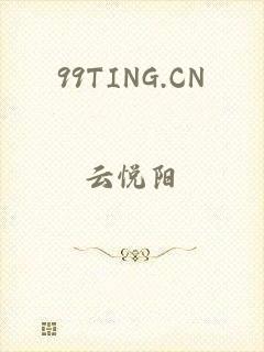 99TING.CN