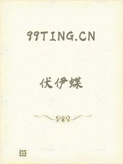 99TING.CN