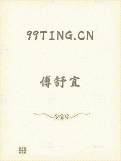 99TING.CN